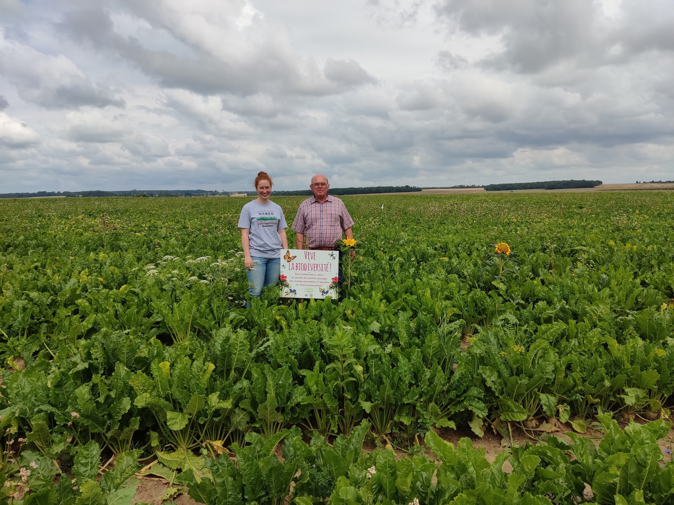 Laurent Vermersch et sa fille, Fiona, sur une parcelle expérimentale associant betteraves sucrières et plantes compagnes | Cultures Sucre