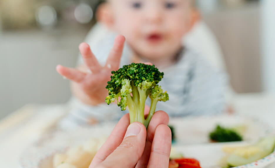 Accompagnement parental pour favoriser l’autorégulation alimentaire de l’enfant | Cultures Sucre