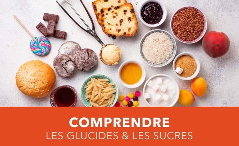 Comprendre les glucides et les sucres