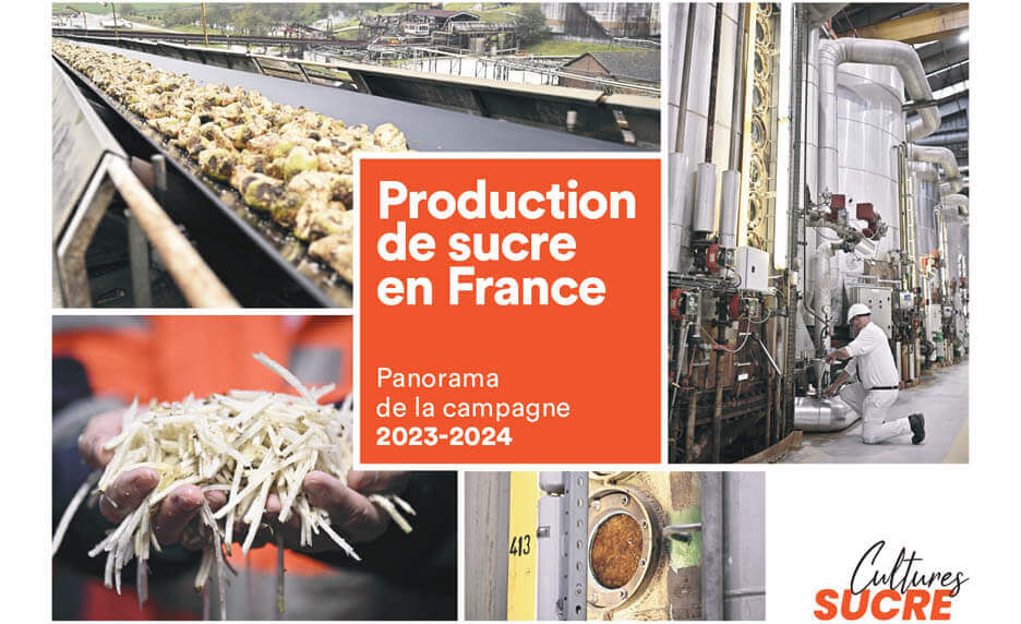 panorama-campagne-sucriere-2023-2024