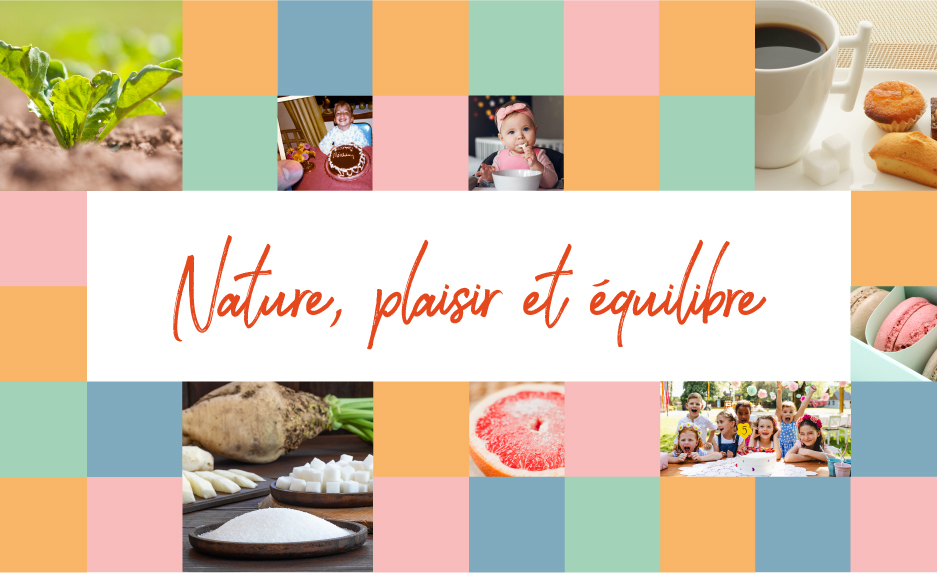 Le sucre : Nature, Plaisir, Equilibre