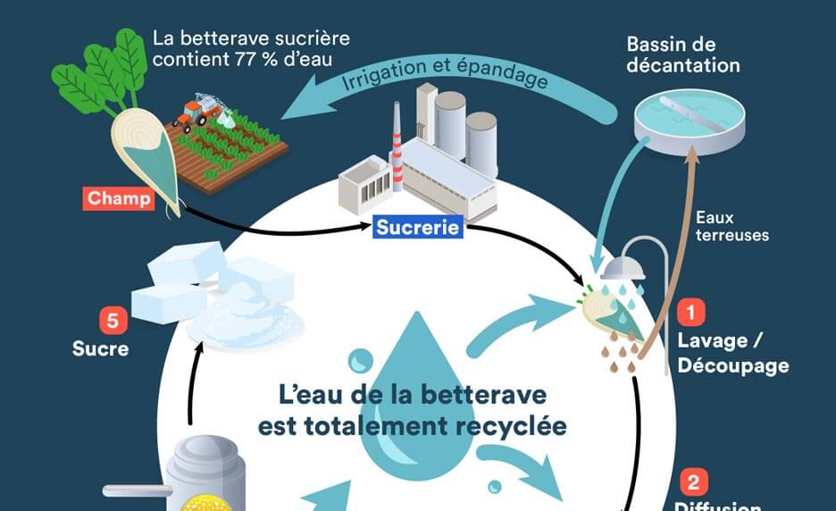 Le cycle de l'eau | Cultures Sucre
