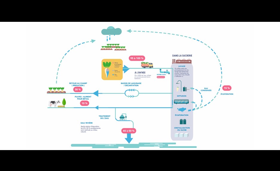 Le cycle de l'eau dans la production de sucre