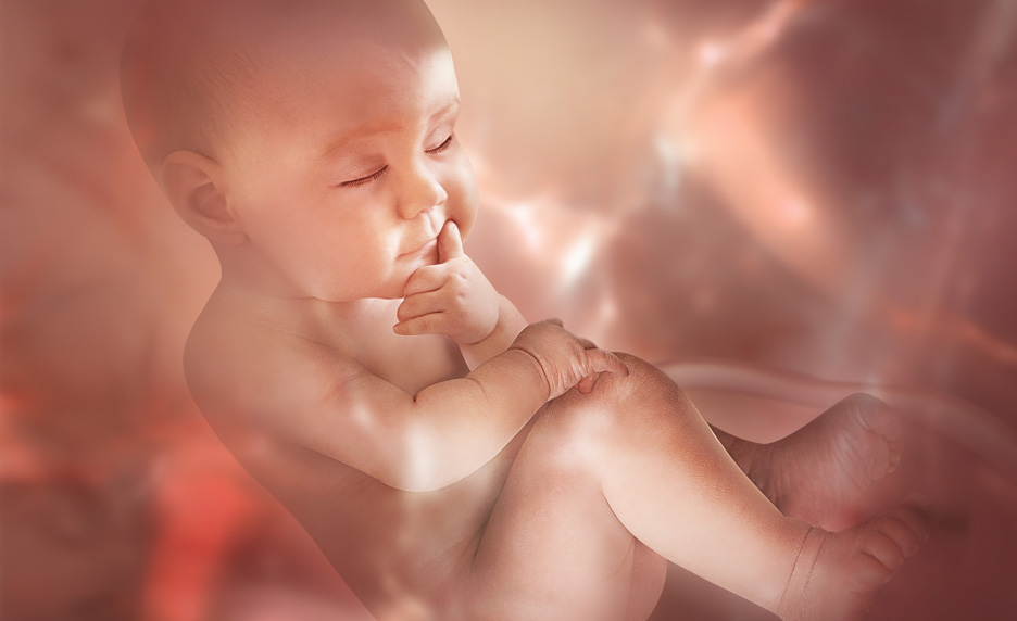 Les fœtus détectent bien les saveurs consommées par leur mère  