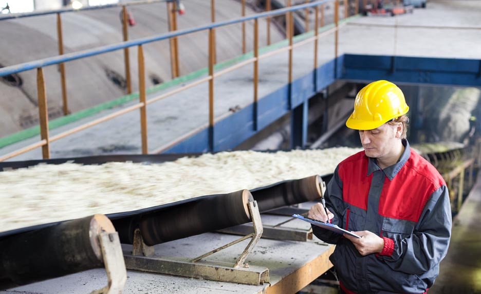 Emploi : comment l’industrie sucrière cultive des compétences de haut niveau pour des emplois durables...