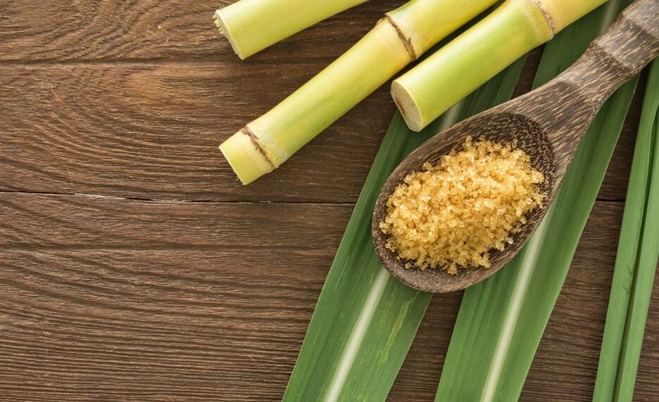 Extraction du sucre de canne : comment ce sucre est-il fabriqué ?
