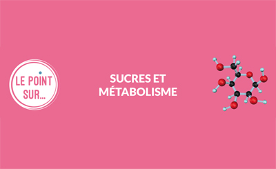 Fiche 4 : Sucres et métabolisme