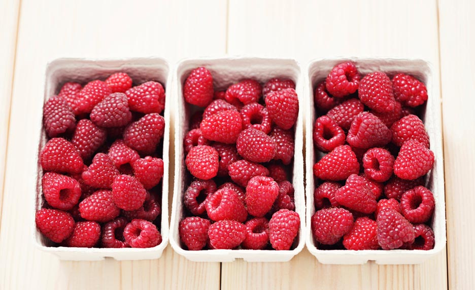 Tout savoir sur la framboise