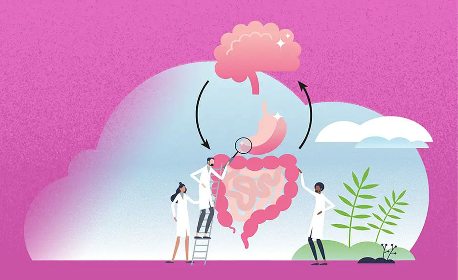 Brèves Numéro Spécial : Régulation hormonale et comportement alimentaire | Cultures Sucre