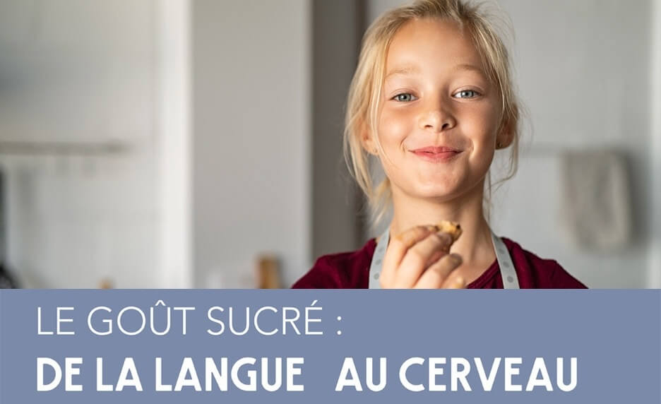 Le goût sucré : de la langue au cerveau