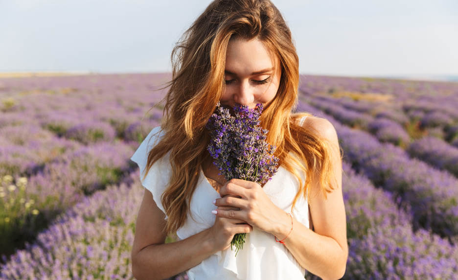 Quels facteurs renforcent nos souvenirs olfactifs ? | Cultures Sucre