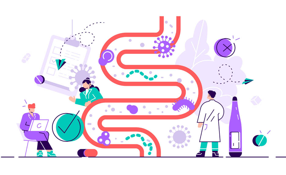 Le microbiote, médiateur des effets du jeûne sur l’horloge biologique ? 