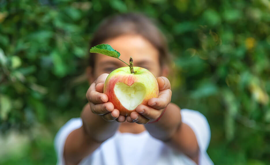 Quand la nature guide nos choix alimentaires | Cultures Sucre