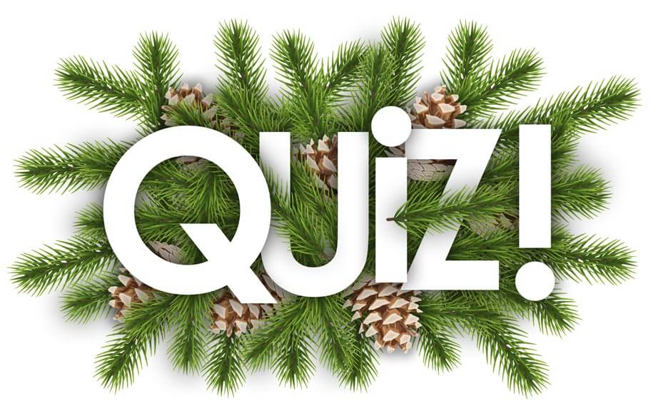 Vrai, faux ou féérique ? Le quiz des gâteaux de fêtes | Cultures Sucre