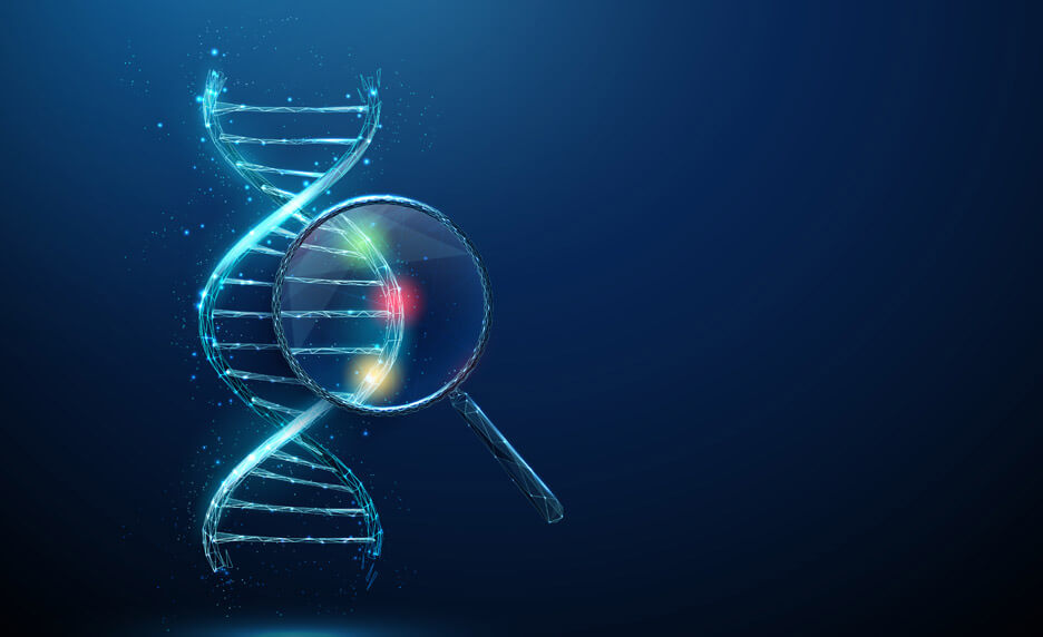 Séquençage génétique et obésité sévère | Cultures Sucre