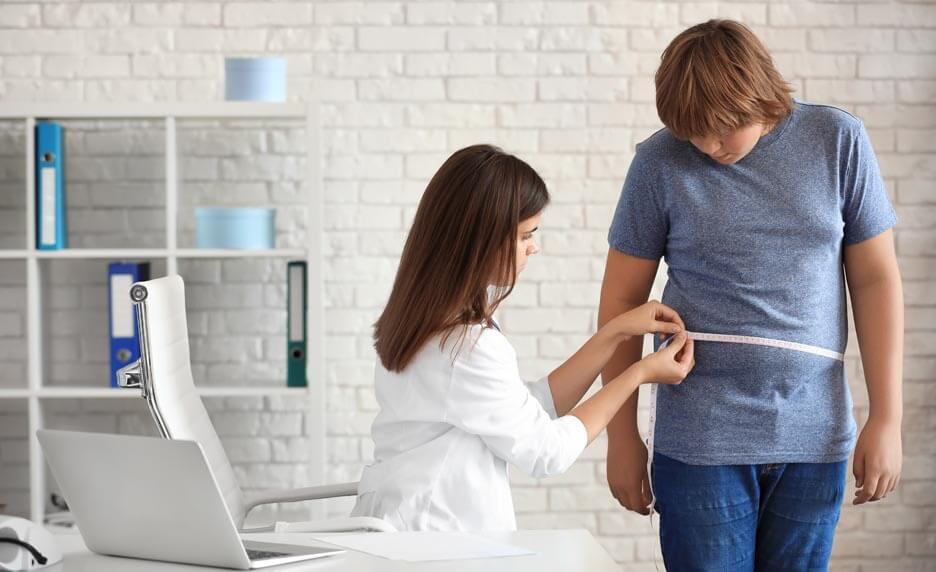 Sucres libres et obésité : quelles relations chez les adolescents européens ?