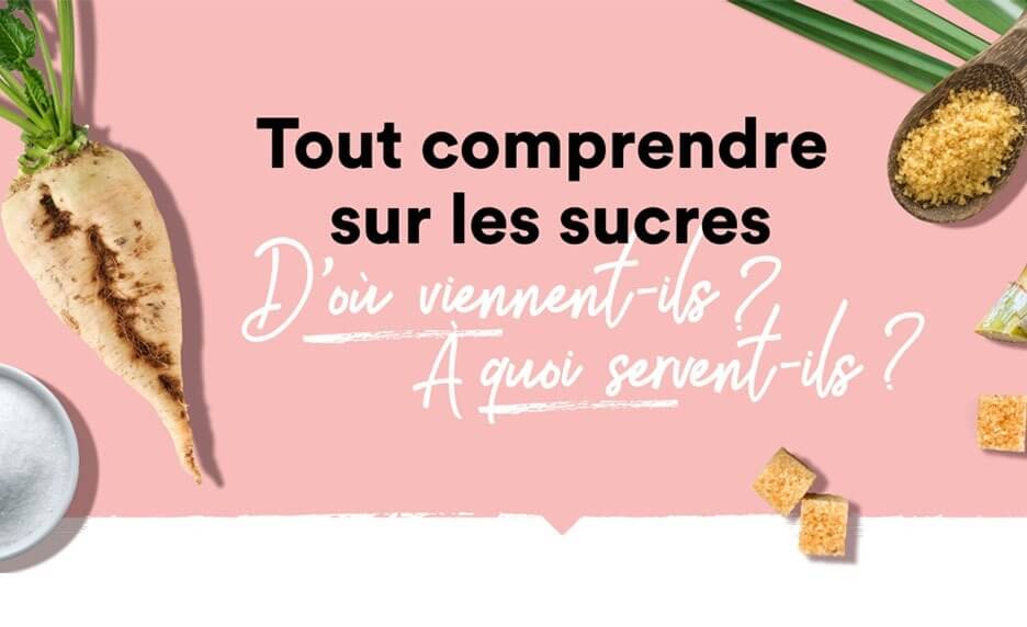 Tout comprendre sur les sucresD'où viennent-ils ? À quoi servent-ils ?
