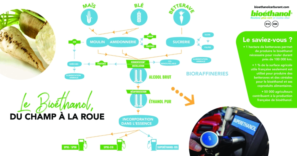 Le bioéthanol, un carburant d'origine végétale pour rouler plus vert et  moins cher