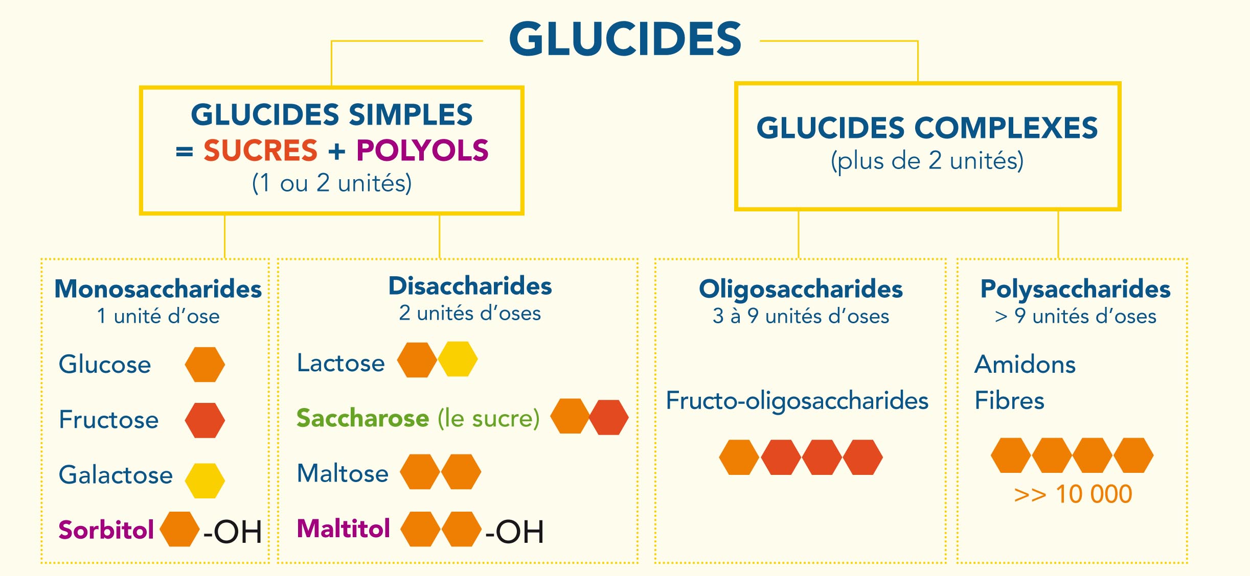 classification-des-glucides-selon-leur-structure