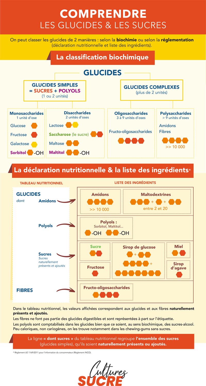 Comprendre les glucides et les sucres