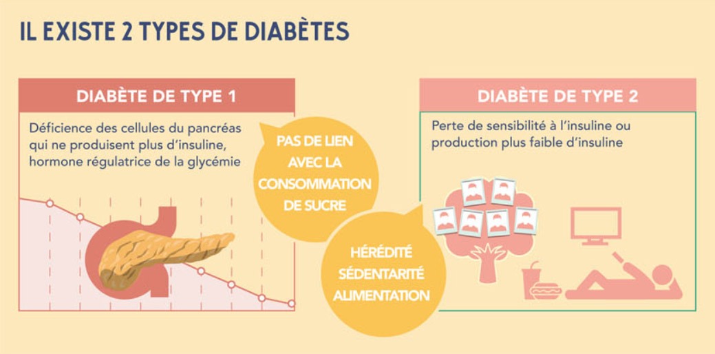 Deux types de diabète