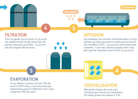 Découvrez la fabrication du sucre en 4 étapes