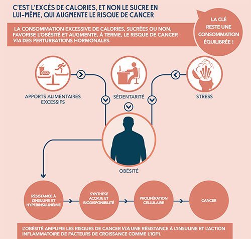 Exces de calories cancer
