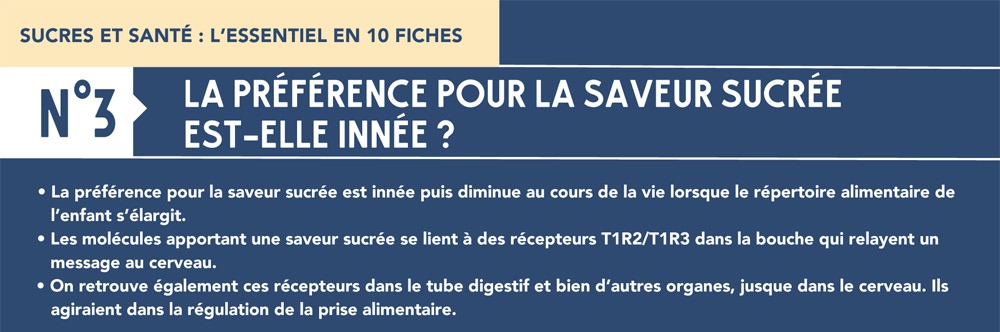 Fiche 3 : Saveur sucrée