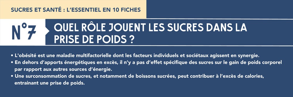 Fiche 7 : Sucres et prise de poids