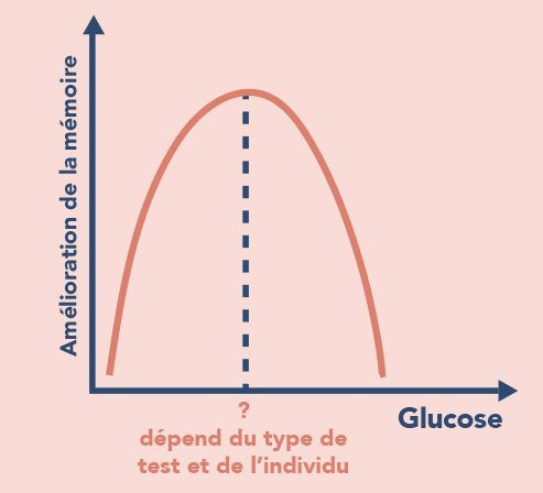Glucose et mémoire