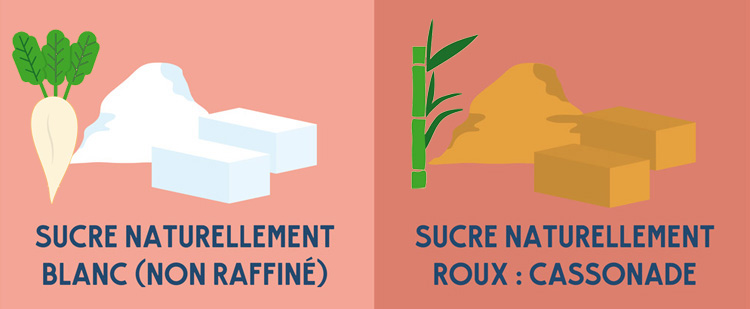 Extraction du sucre de canne : comment ce sucre est-il fabriqué