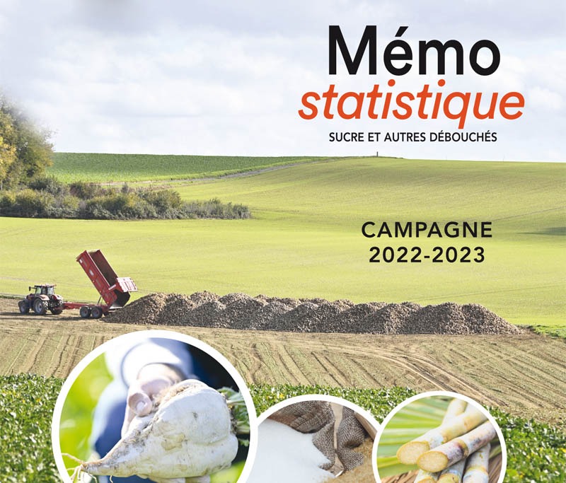 memo-stat-2023-fr-nl