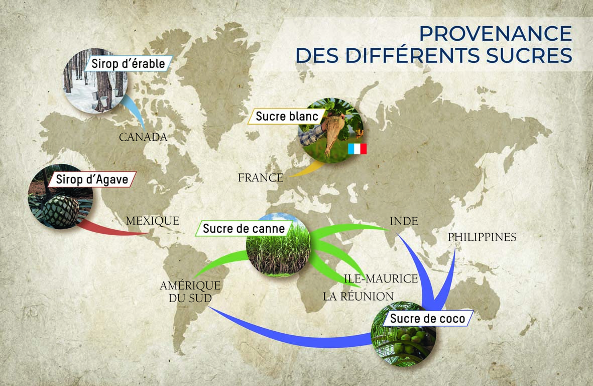 provenance-differents-sucres