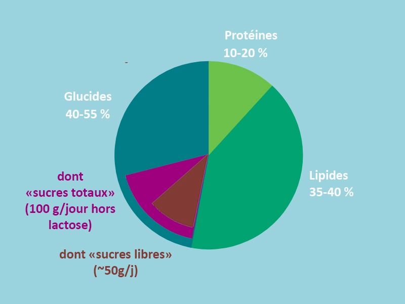 Recommandations nutritionnelles