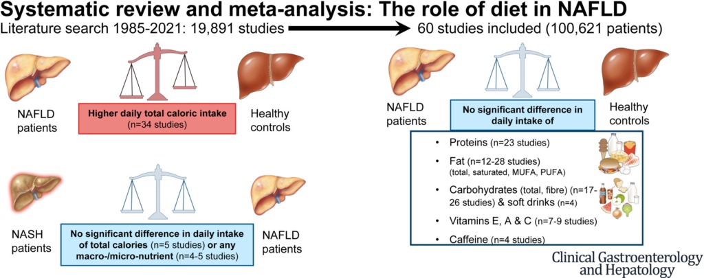 resume-graphique-NAFLD