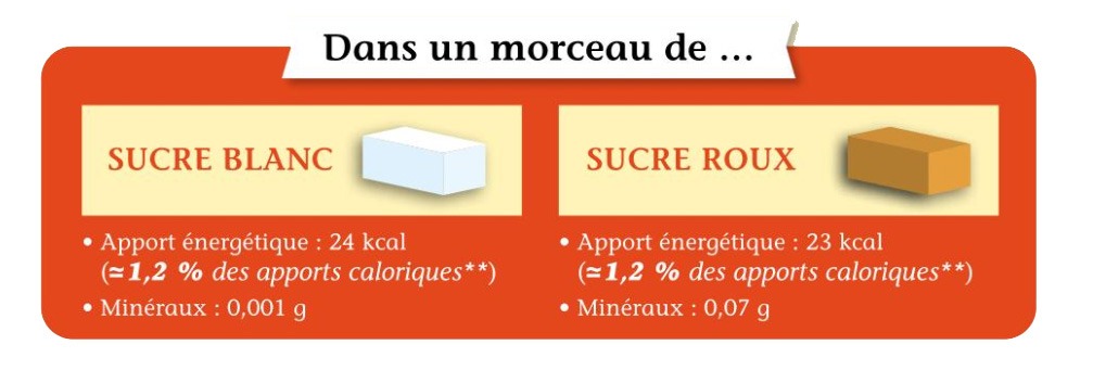 Différences entre sucre blanc, sucre roux et sucre complet