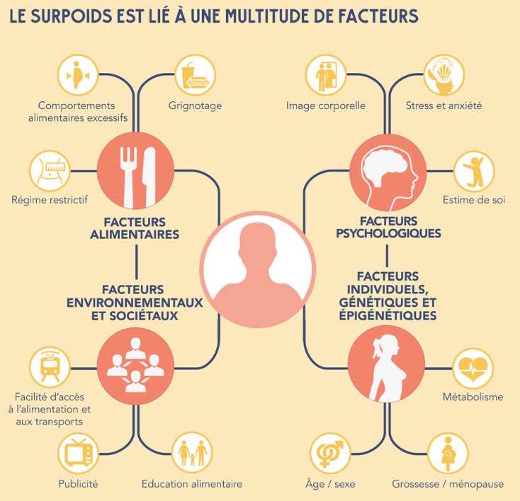 Le surpoids est multifactoriel