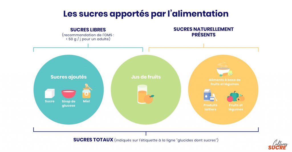 Les sucres dans la table CIQUAL