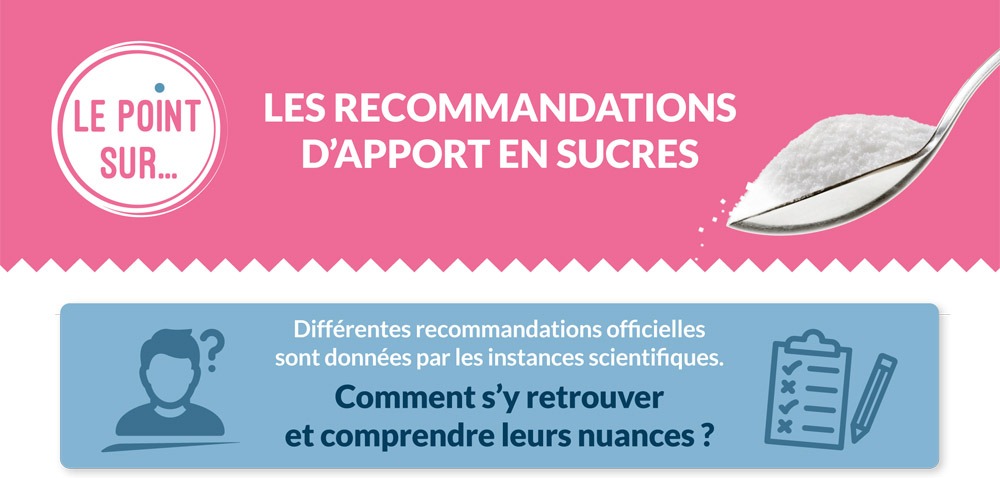 Fiche 1