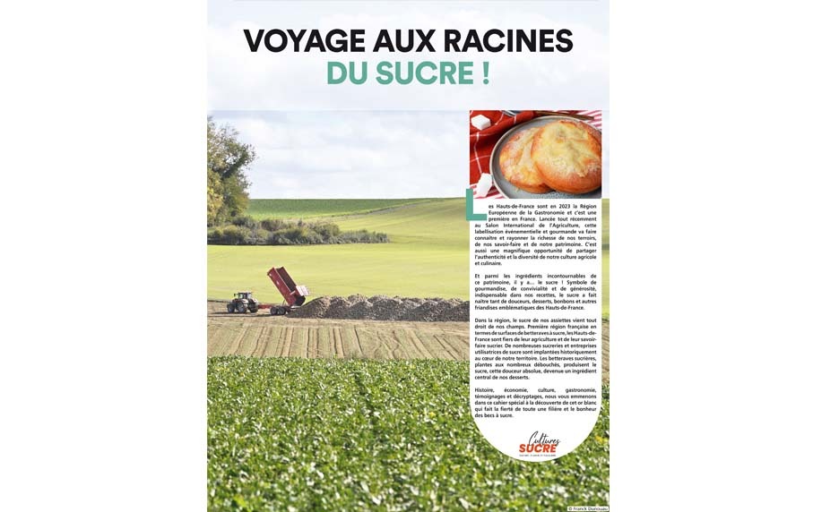 voyage-aux-racines-du-sucre