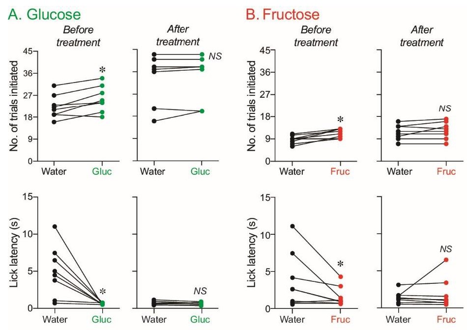 Les souris viennent plus volontiers et plus rapidement goûter des solutions de glucose et de fructose que l’eau quand leur odorat est fonctionnel | Cultures Sucre