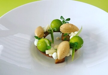 Le voyage de Granny Smith Kevin Pellan