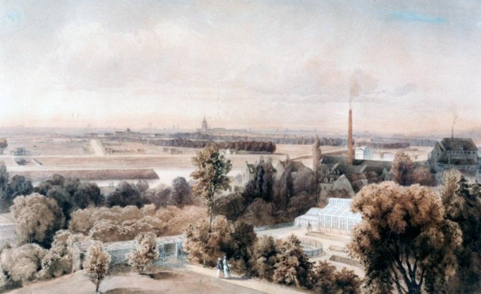 Histoire du sucre
