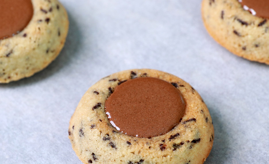 Financiers Tigres